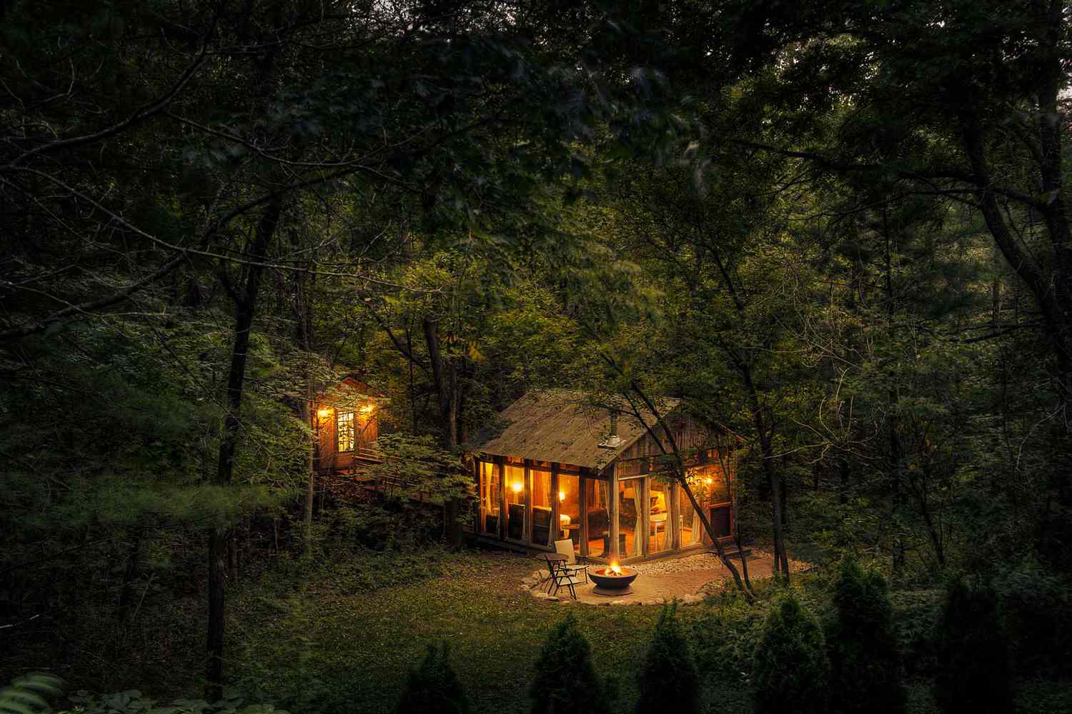 strange sounds in the woods at night: what could it be?