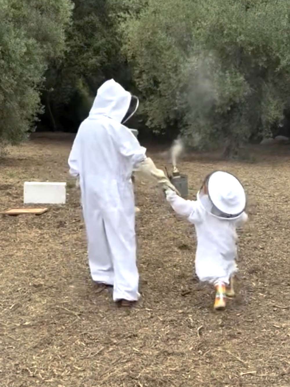 why did my daughter and i dress up like beekeepers for veggies?