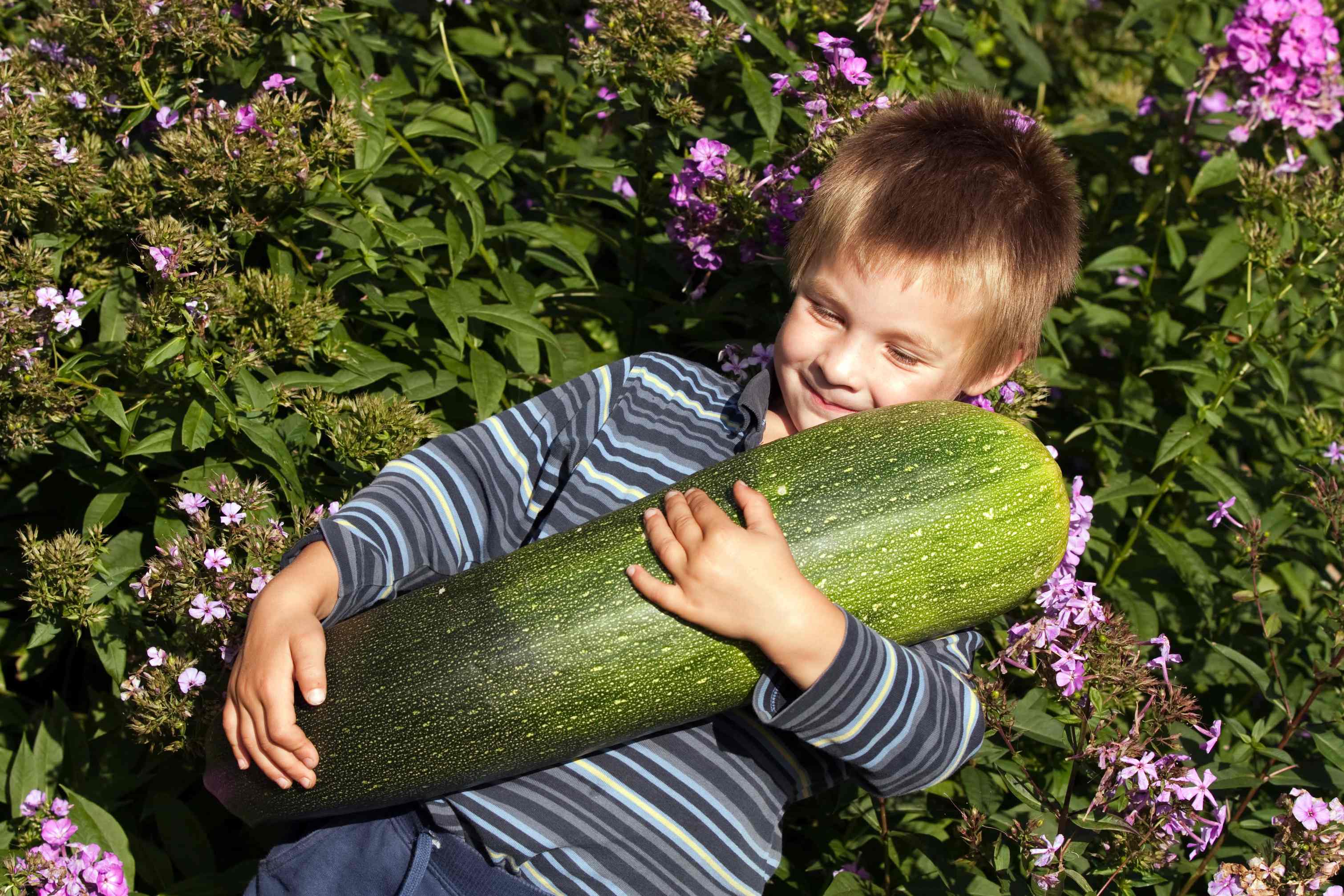 did i really throw a full-on photo shoot for my giant zucchini baby?