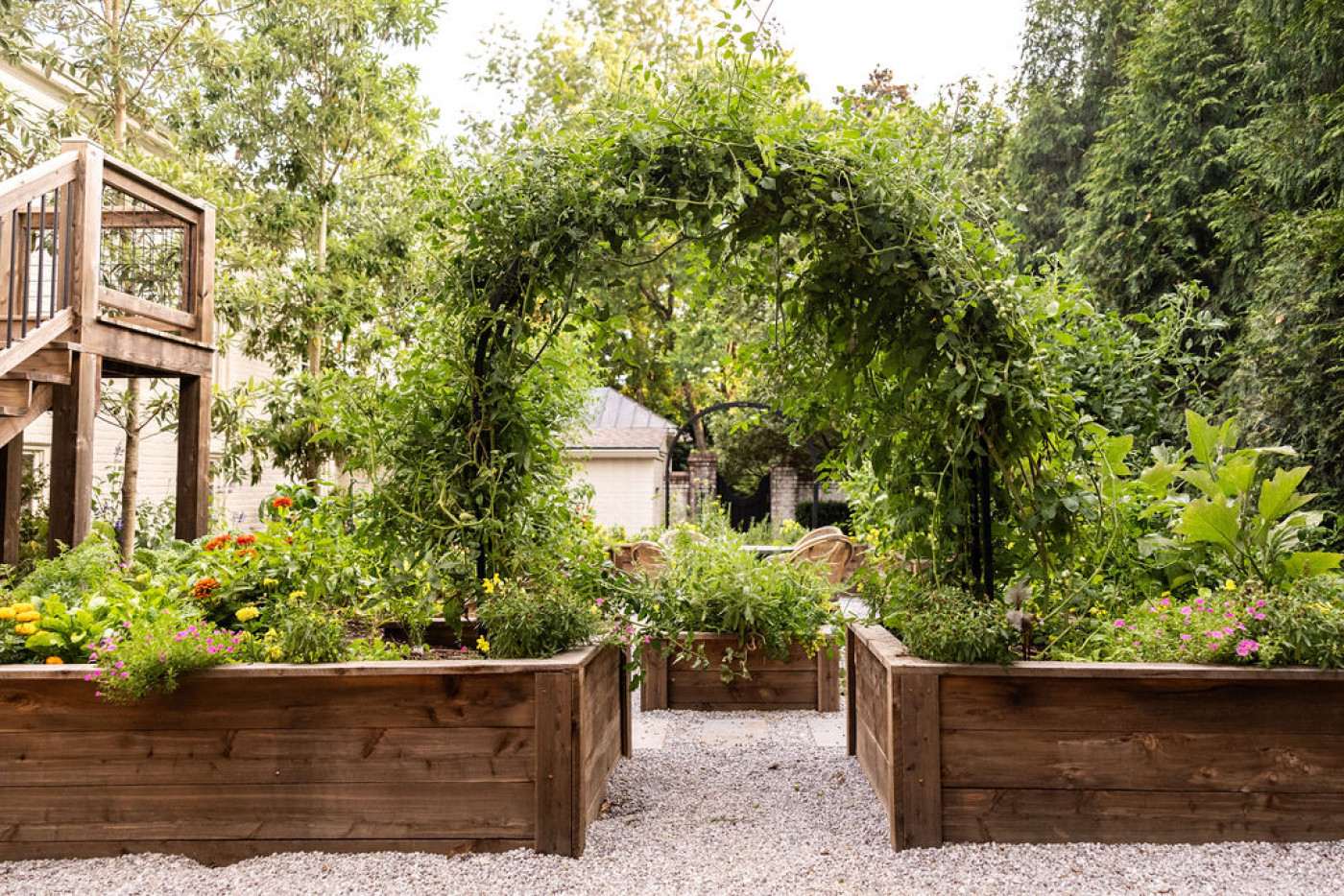 why did building a tomato arch totally change my summer garden?