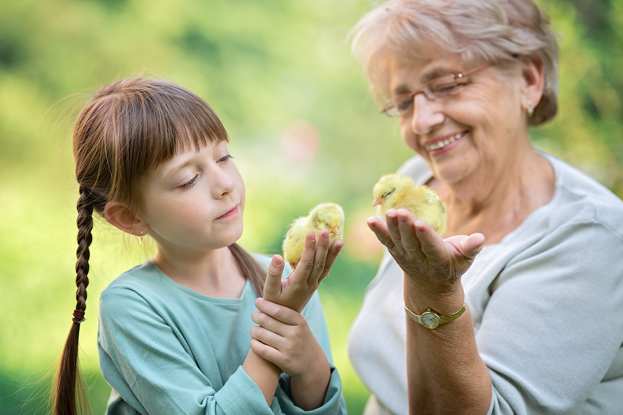Why Don’t We Listen to Our Elders Anymore?