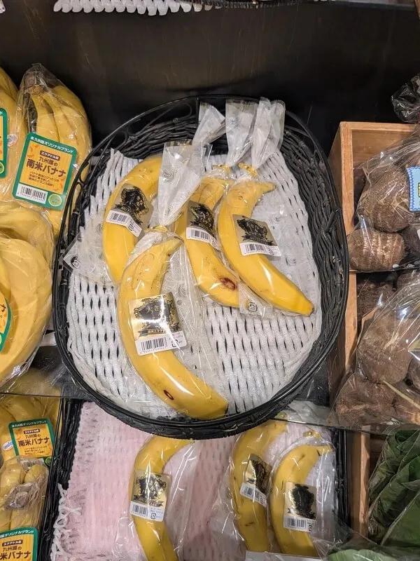 Why Is Everything Wrapped in Plastic?!