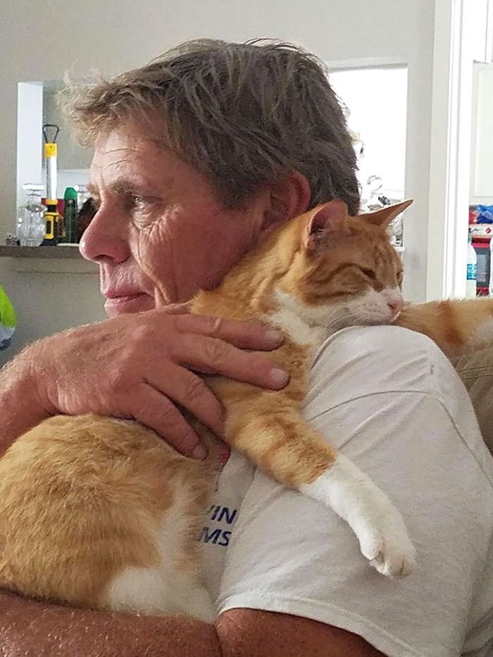 How My Cat Chose My Reluctant Dad