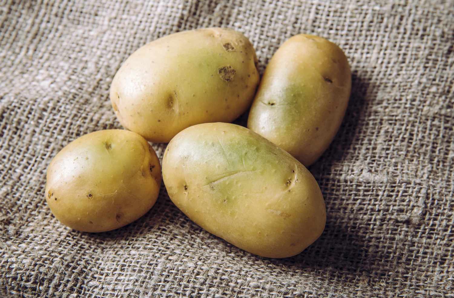 Ever Wondered Why Potatoes Turn Green? Shocking Truth!