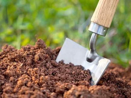 Save Your Soil, Save Your Garden! 🌱