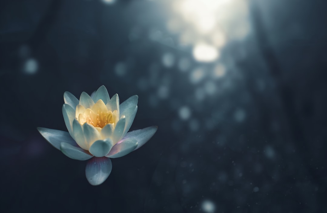 How Meditation Helped Me Face the Hardest Breakup of My Life