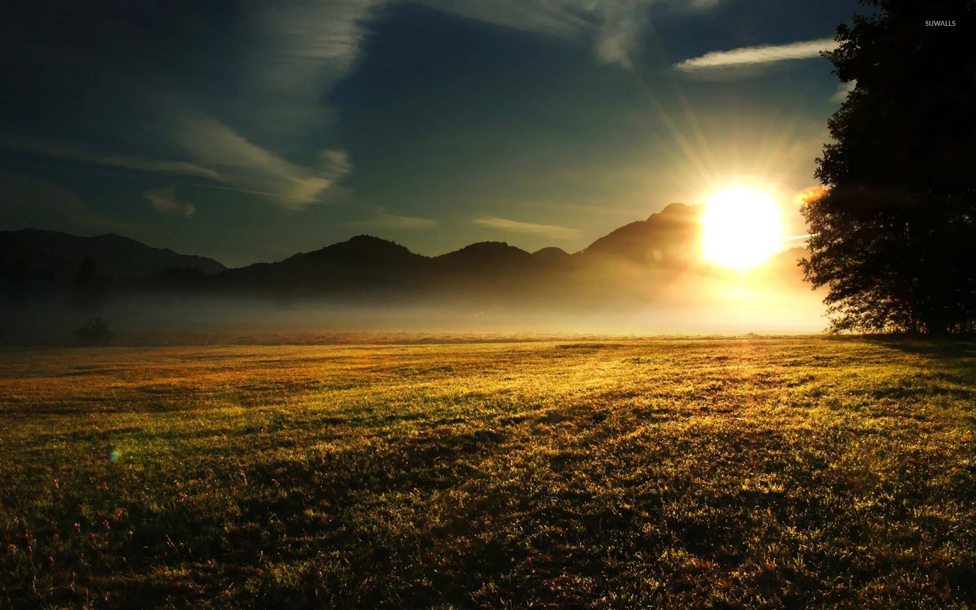 What Fuels Your Spirit to Keep Going?