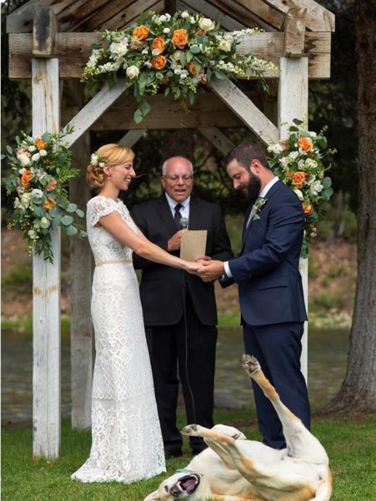 Dog Steals the Spotlight at My Sister’s Wedding