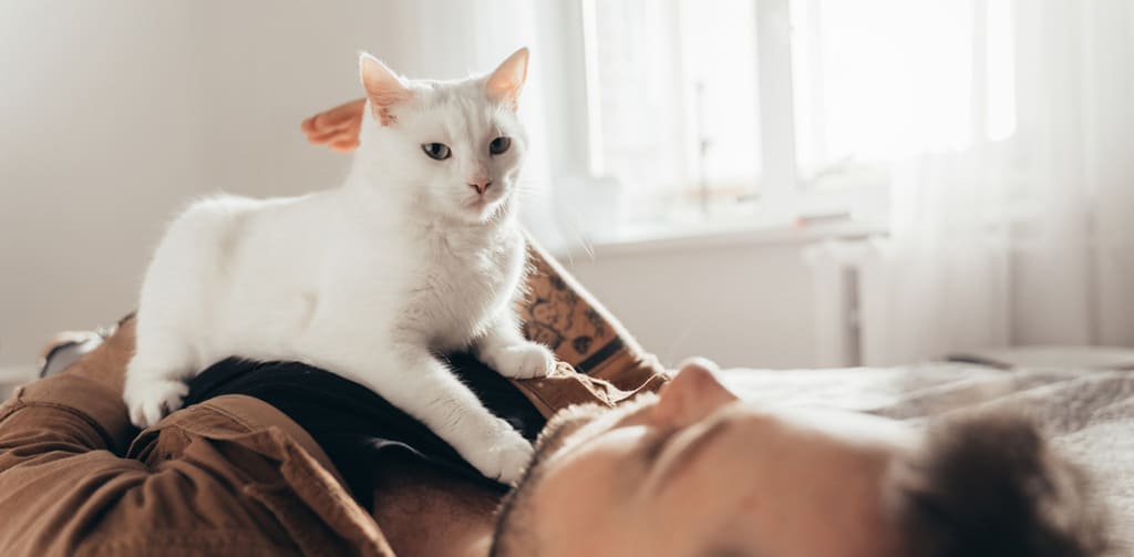 What’s Your Pet’s Secret Love Language?