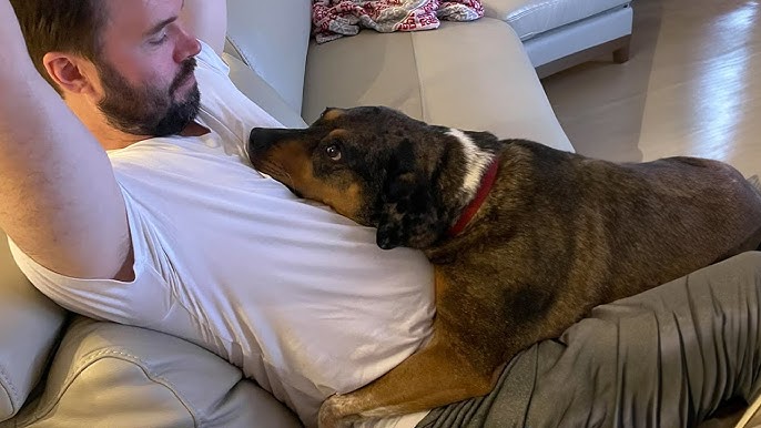 When Your Dog Picks a Favorite Human