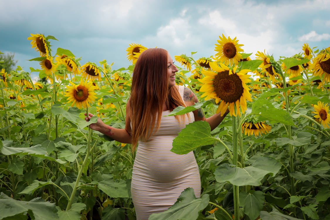 sunflowers, memories, and the battle for our front yard