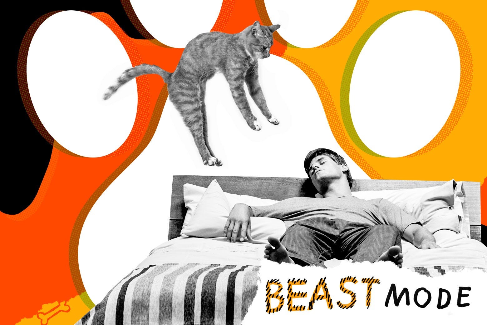 My Cat’s 6AM Chaos Is My Daily Alarm