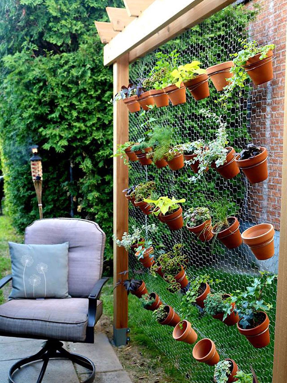 how did i turn my tiny backyard into a lush vertical jungle?