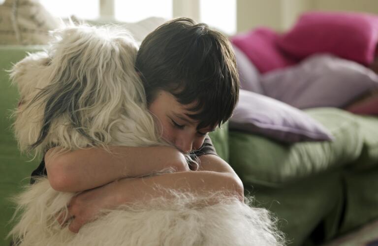 My Dog Hates People—Except My Anxious Brother