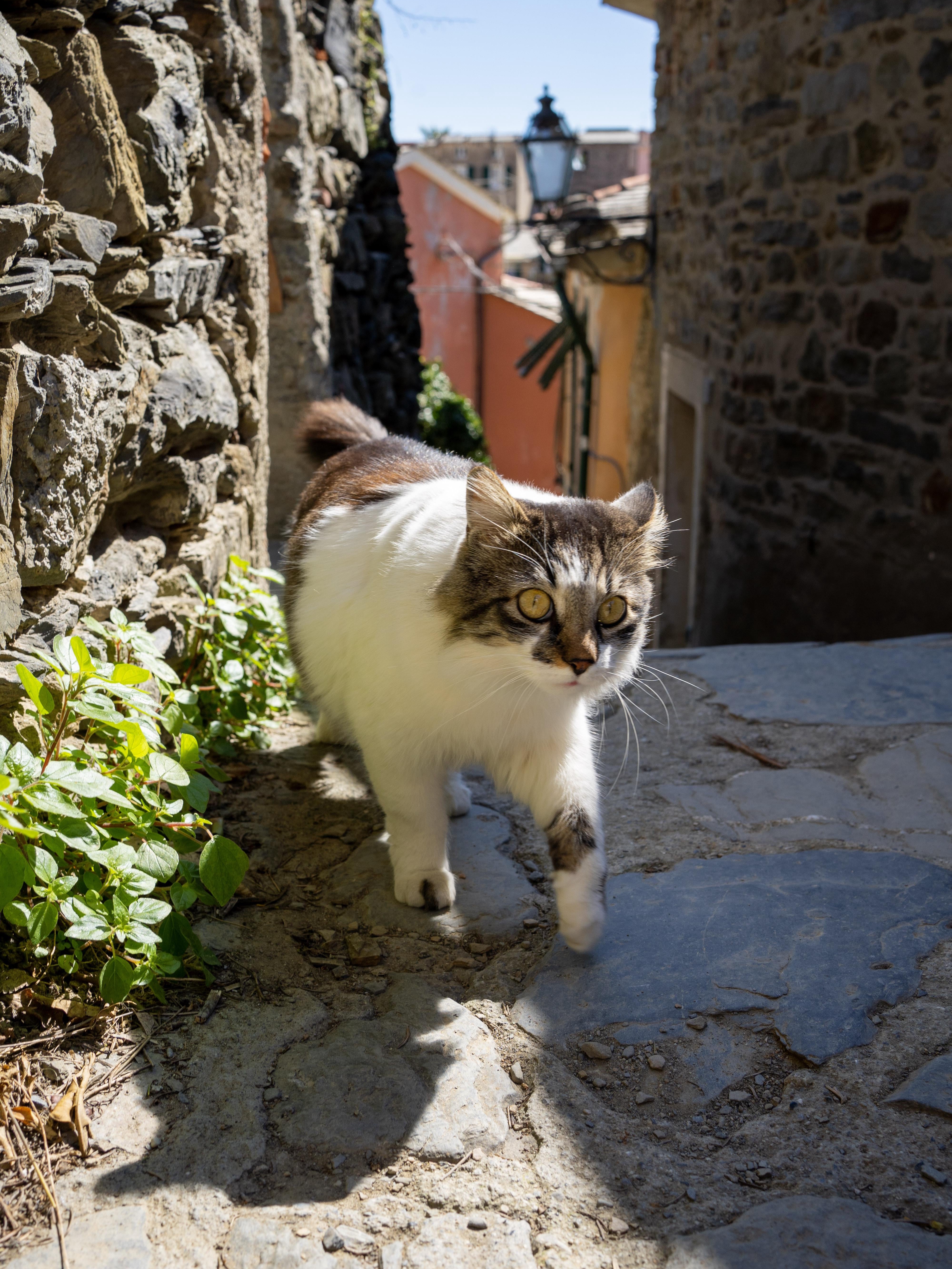cinque terre in april: is it worth the hype?