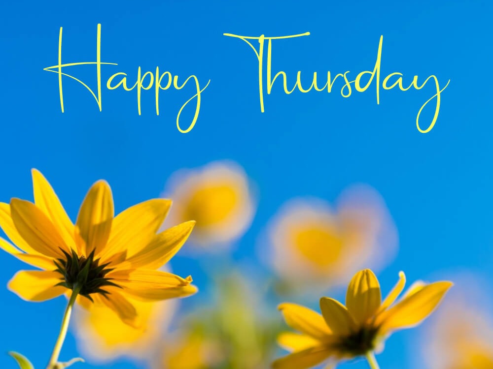 Make Your Thursday Shine—Spread Good Vibes!