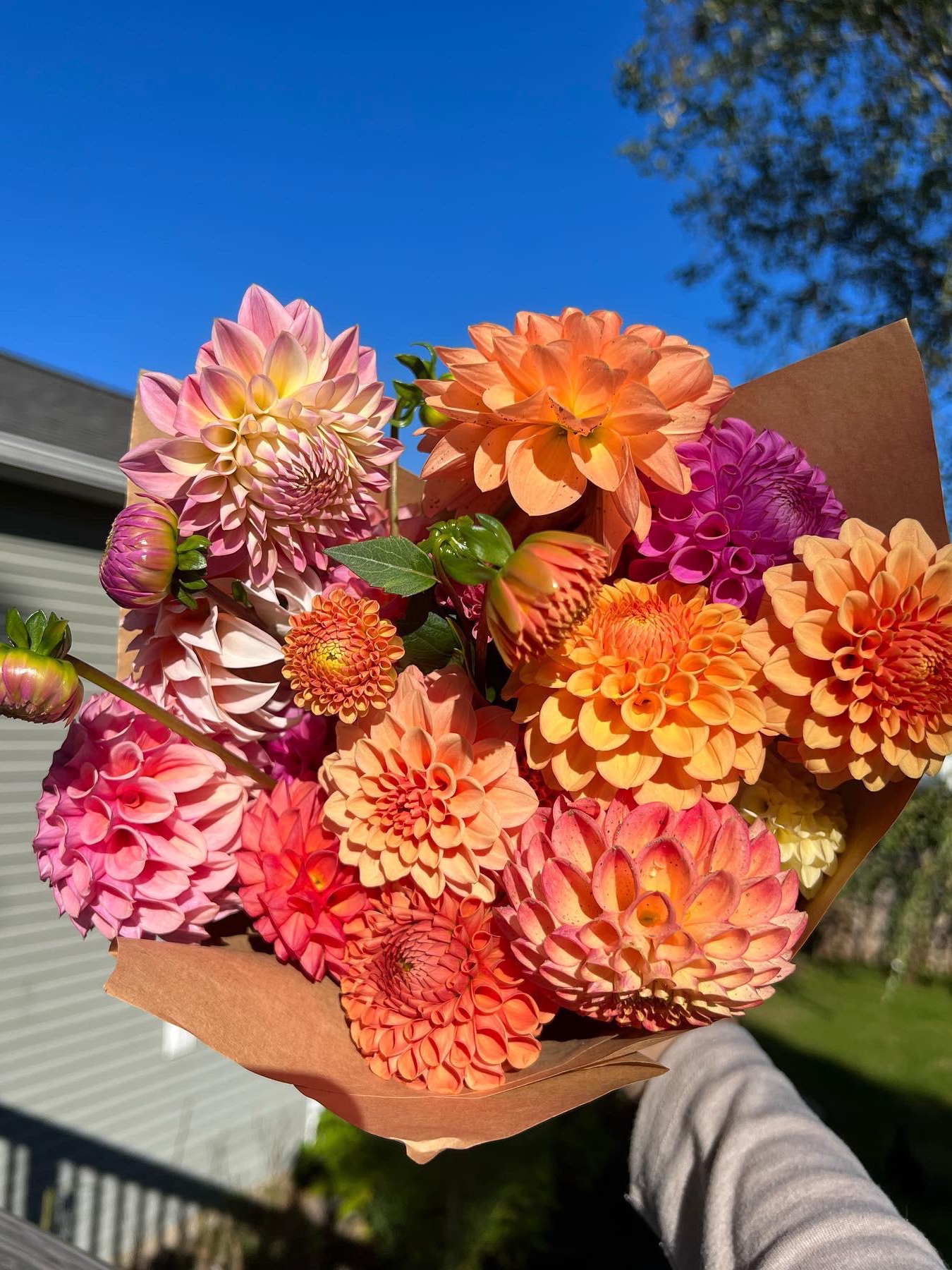 is this the last bouquet i’ll ever pick before winter hits?