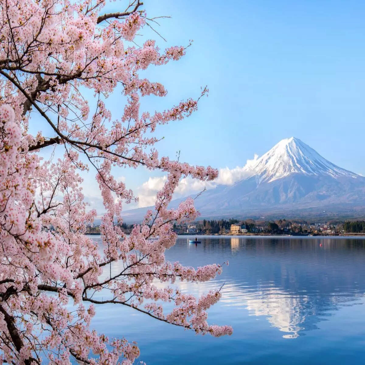 We thought Japan would be peaceful—it wasn’t