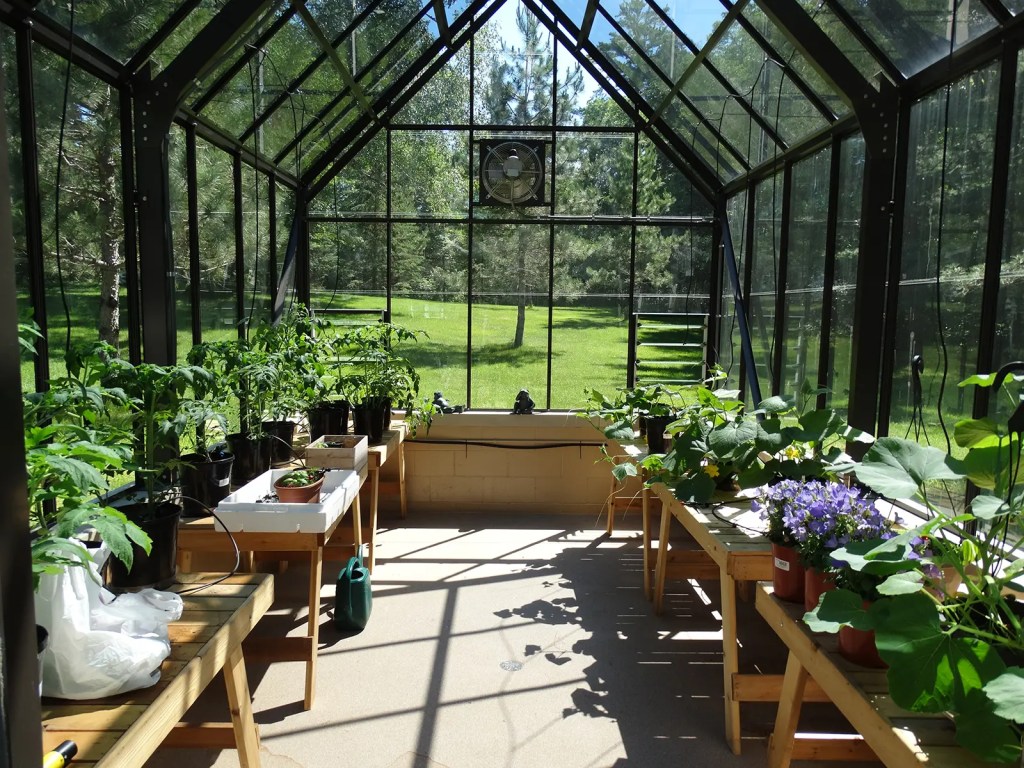 my first greenhouse: bridging old wisdom and new dreams