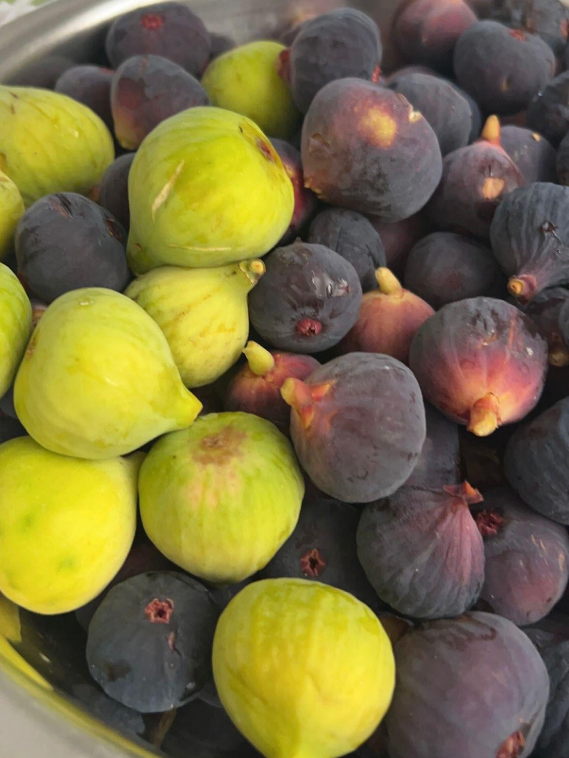 fruit gardens: old traditions meet new challenges in our backyards