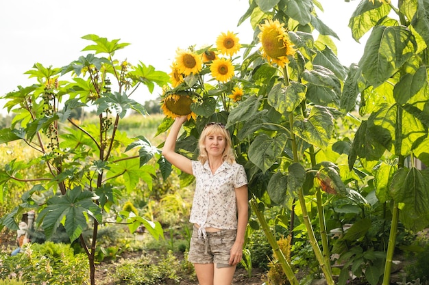 did my wild sunflower experiment just prove my husband wrong?
