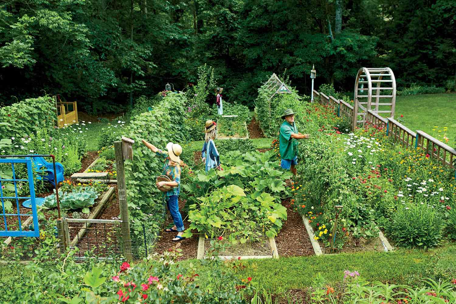 why did i turn my tiny backyard into a veggie jungle for cash?
