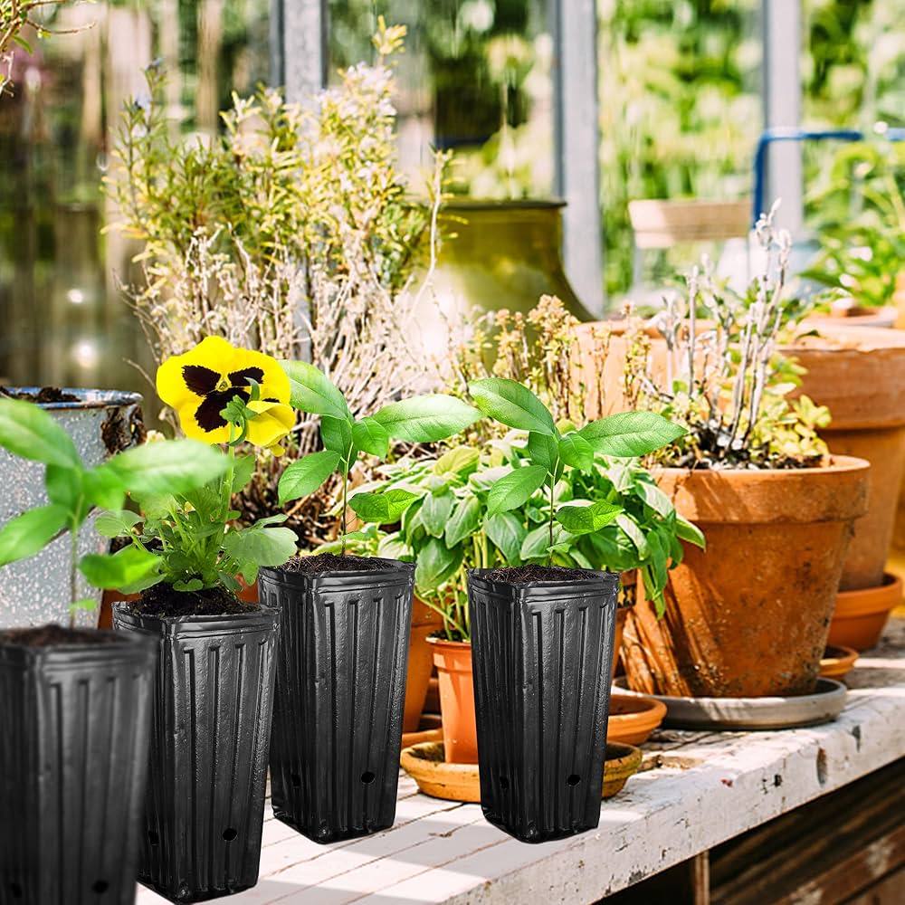will cutting out the bottom of a plastic pot make my plants thrive?