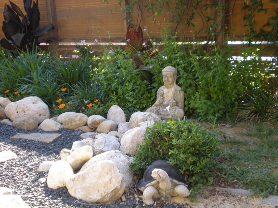 A Meditation Vision That Finally Set Me Free