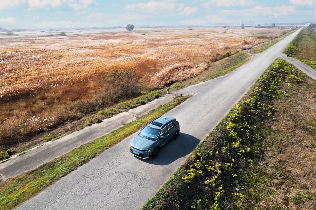 Are You Guilty of Left Lane Camping? My Honest Confession