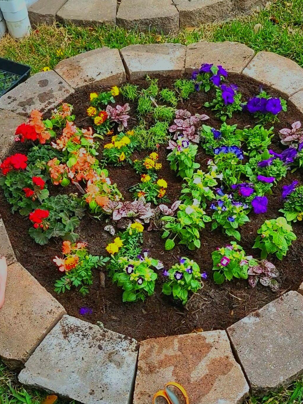 a rainbow garden: tradition meets youthful creativity