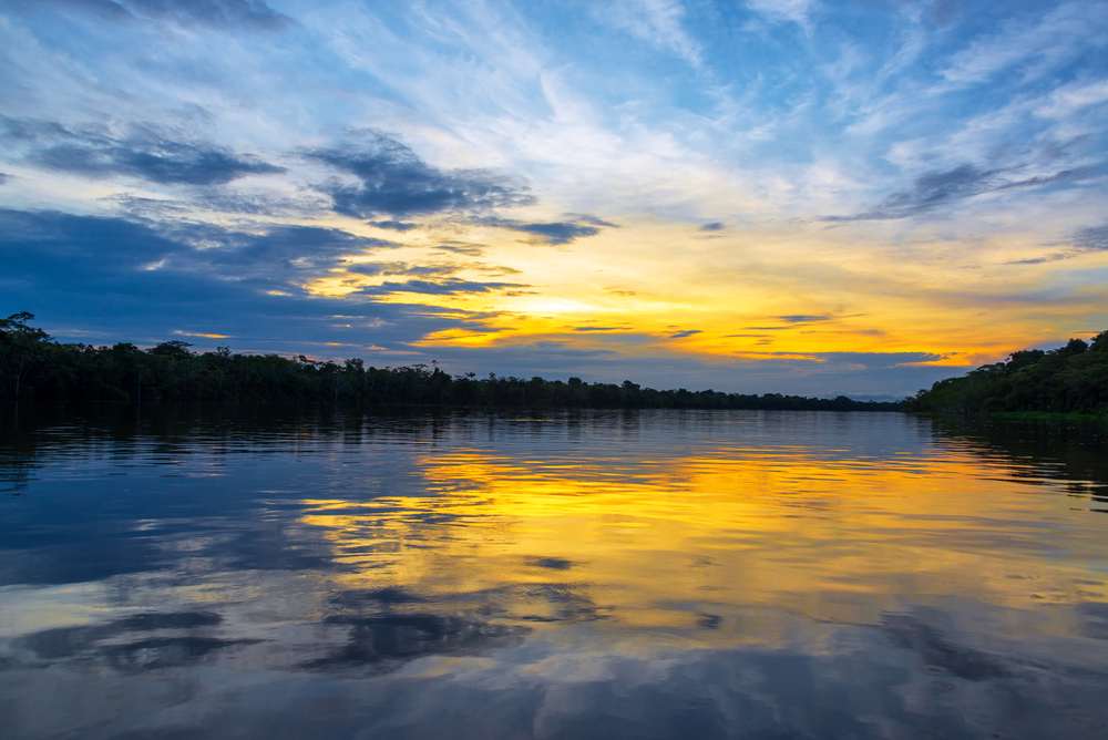 is the amazon jungle worth it for a solo trip in august?