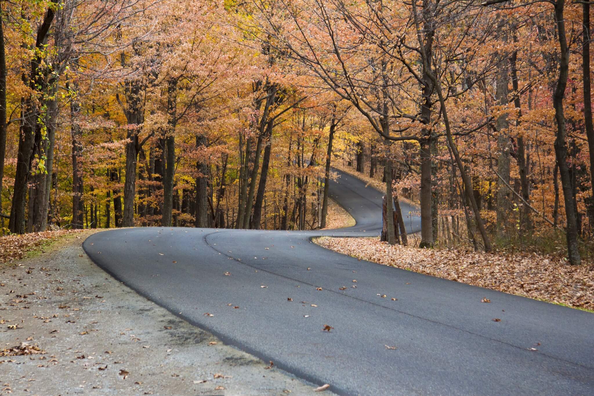 is travelzoo really worth the hype for travel deals?