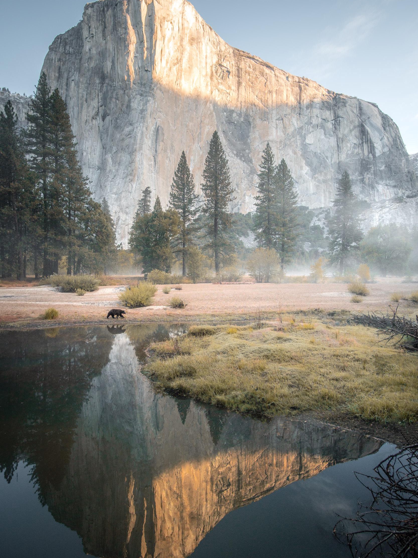 unexpected encounters by the merced river in yosemite