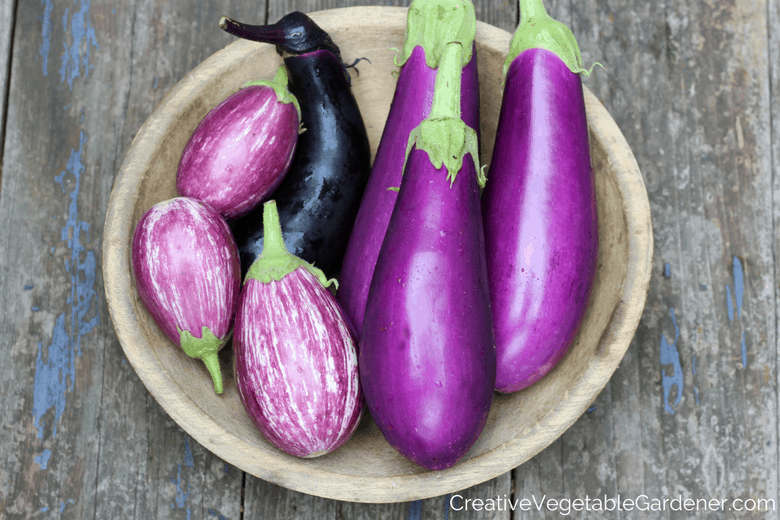 did i just accidentally grow the weirdest veggie in my yard?