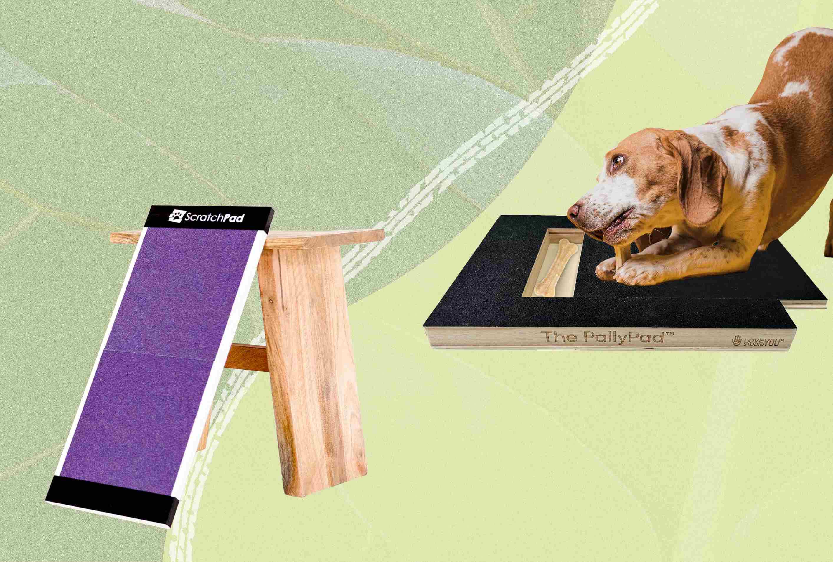 DIY Dog Scratch Pad: Nail Trims Without Tears