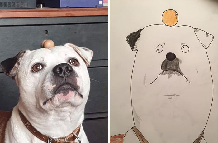 Let Me Sketch Your Pets—Badly, But With Love
