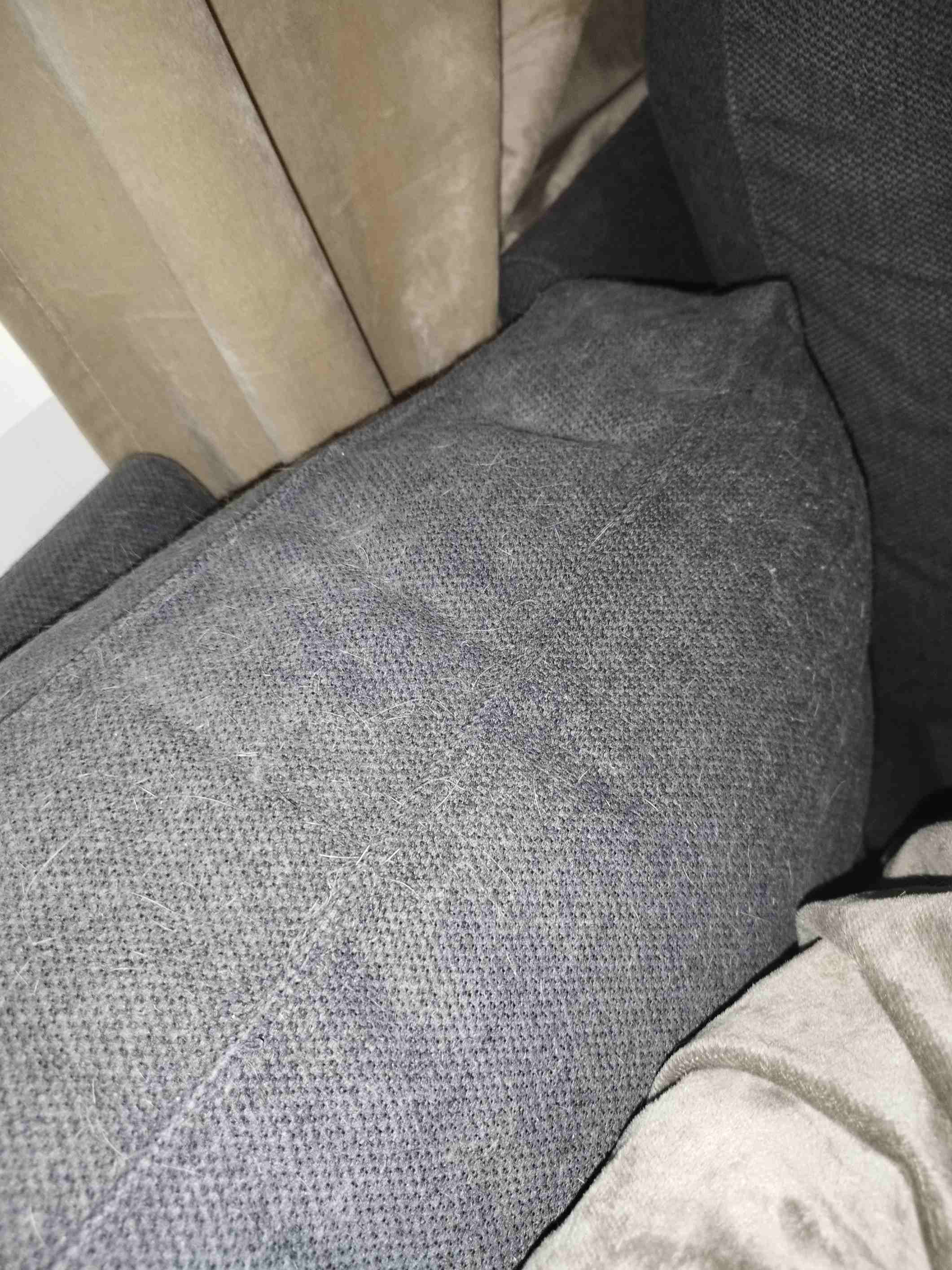 Cat Hair vs. My Sanity: Who Wins?