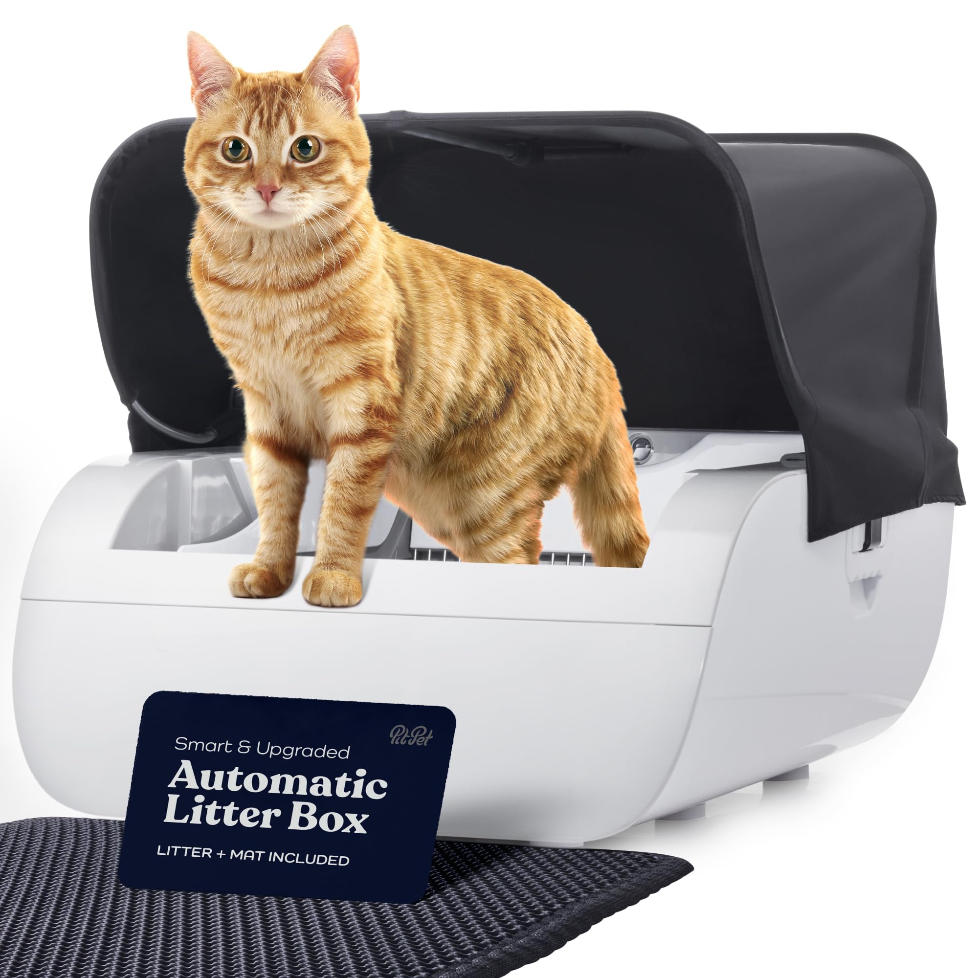 Why I Ditched My Cat’s Old Litter Box