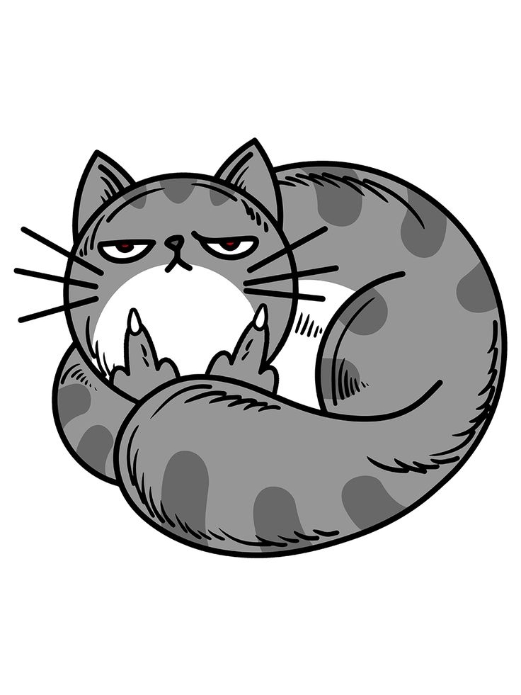 My Cat Flipped My Mouse and My Sanity