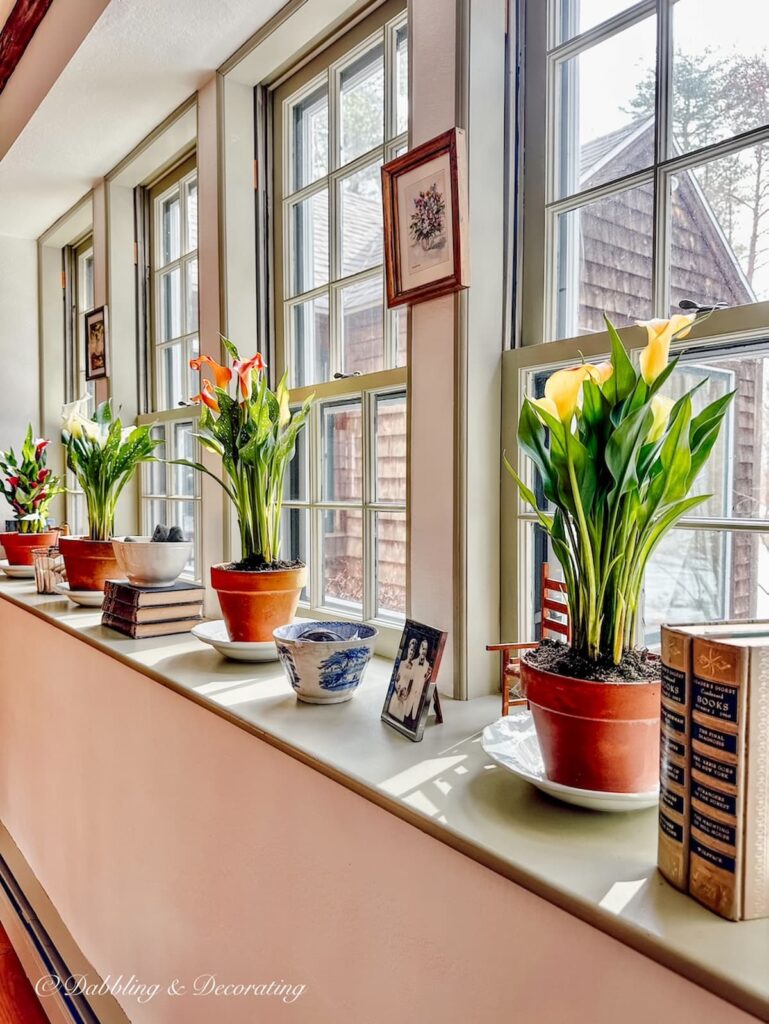 led grow lights vs. regular leds: a gardener’s generational debate