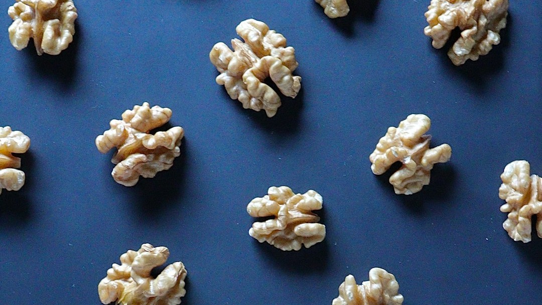Eat brain to nourish brain?