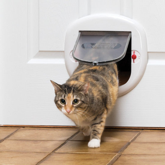 My Cat Demanded a Door—So I Built One