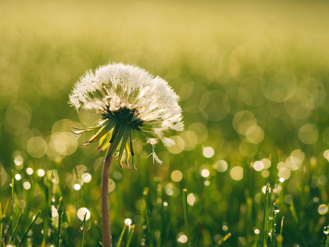 Unlock Your True Potential—Here’s How!