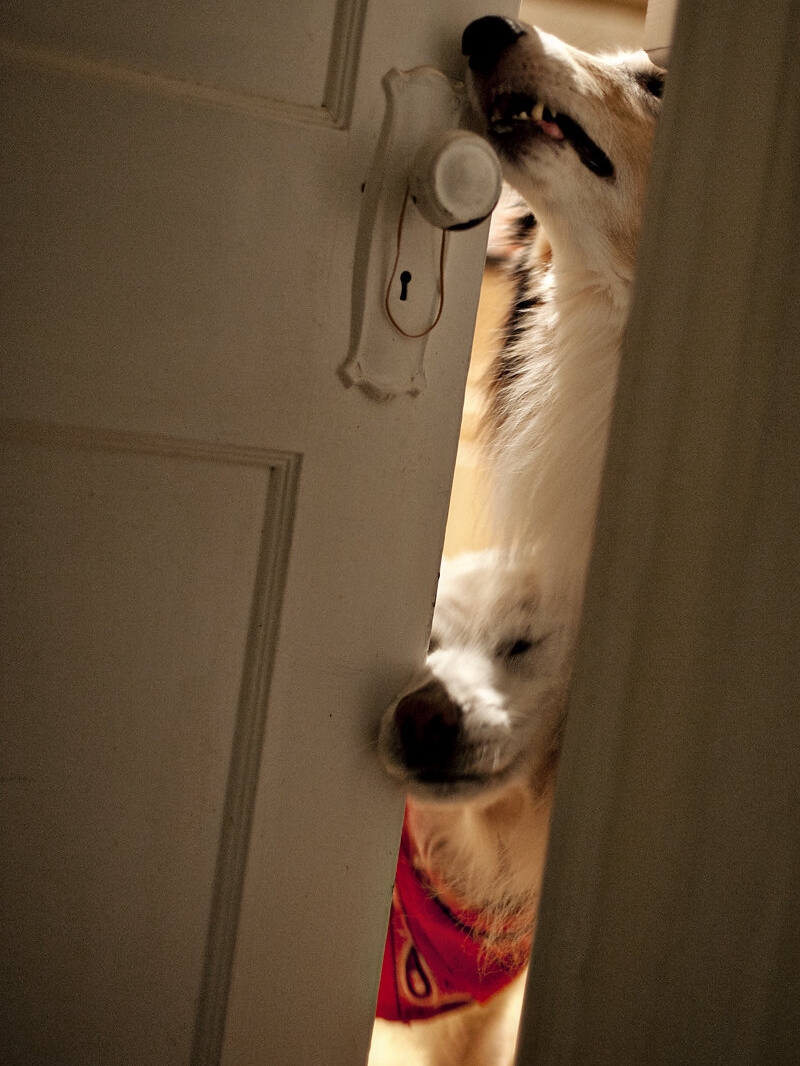 When a Doorbell Means 'I Love You'