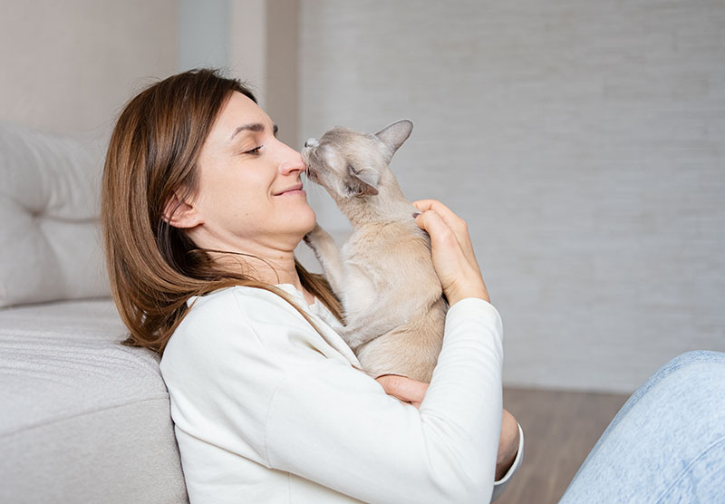 My Cat Thinks My Nose Is a Chew Toy