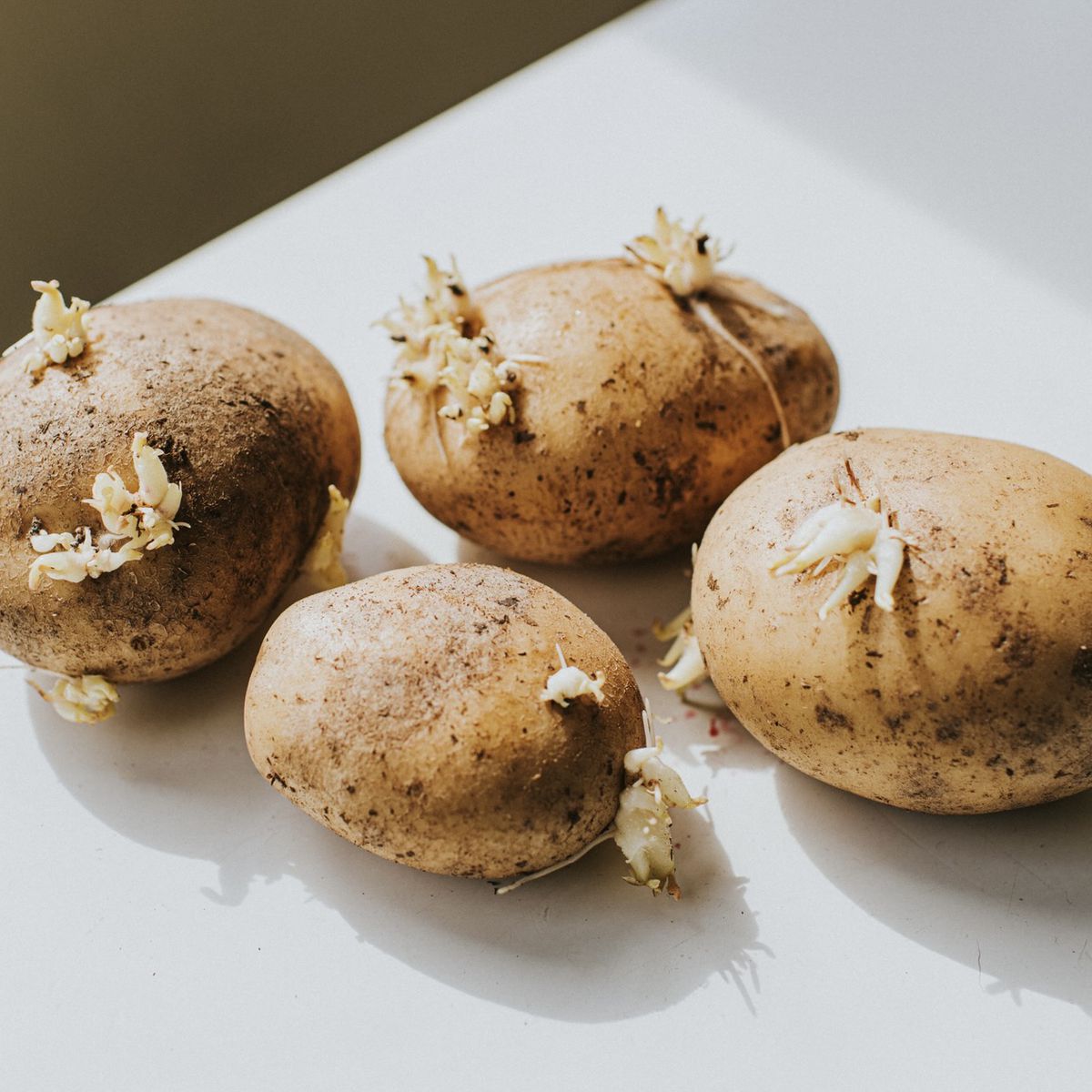 If you’re not afraid of dying from sprouted potatoes(like me)
