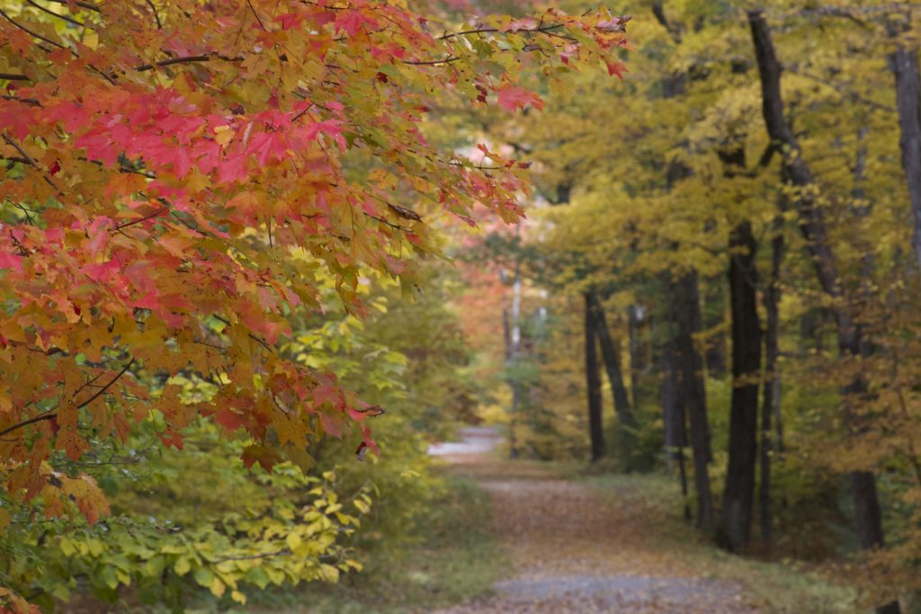 The Journey from Blame to Acceptance: A Path to Inner Peace