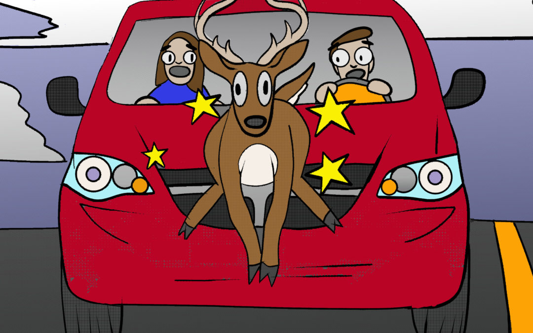 What Happens If You Hit a Deer on a Test Drive?