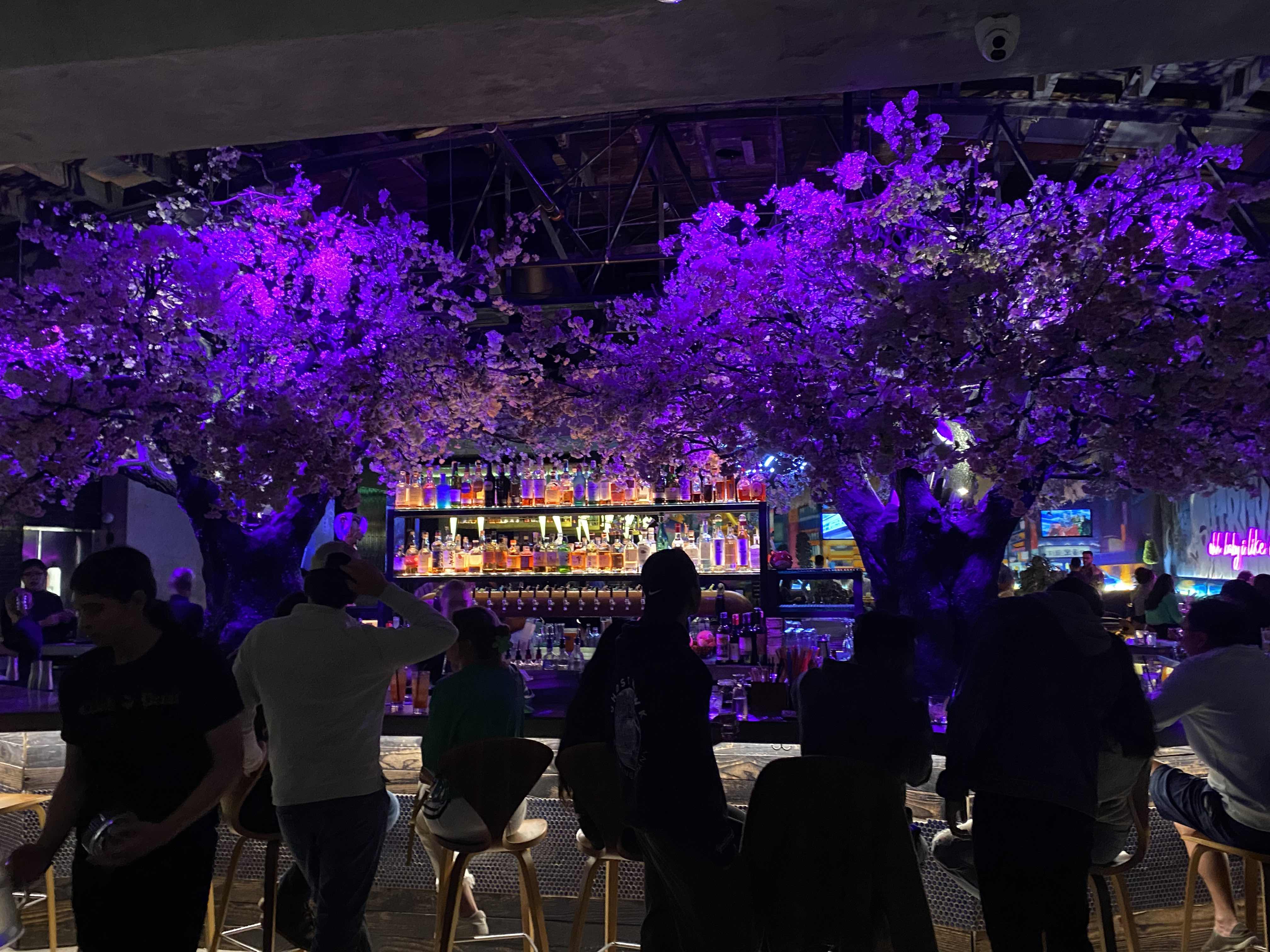 Checkout this fabulous sushi bar in downtown SD