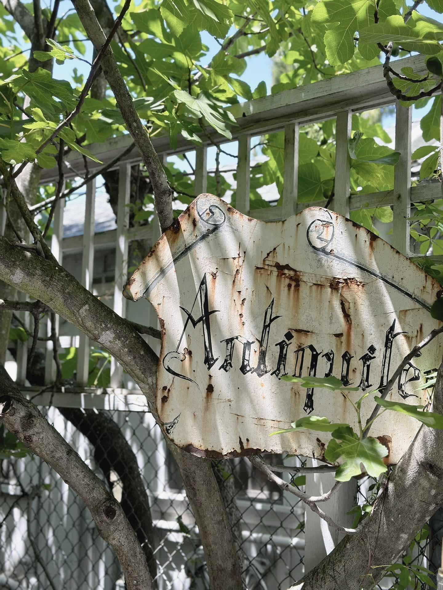🌟 Unmissable things to do in Sonoma County 🌞
